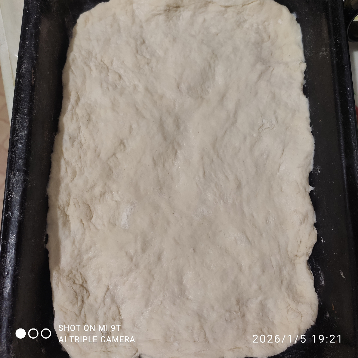 Тесто в форме 