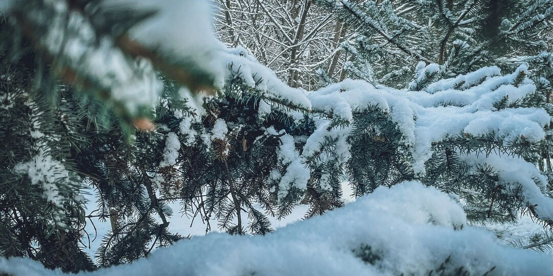 Срочное предупреждение выпустили для жителей Карелии