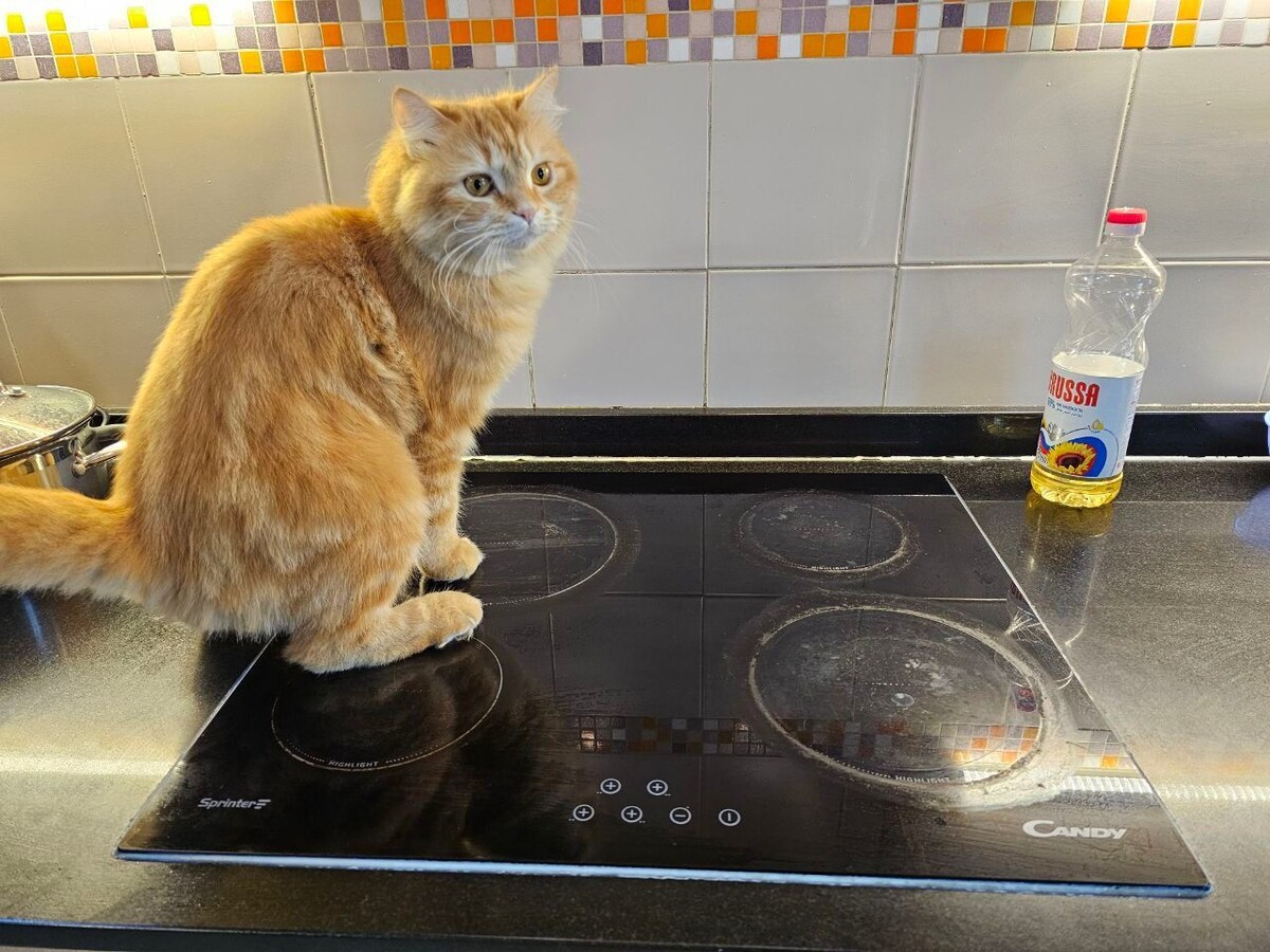     Фото: REGIONS/Наталия Надточая