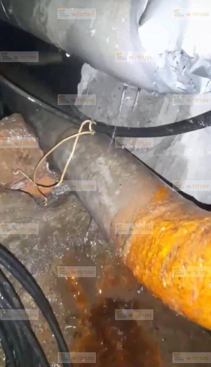     Фото: портал "Наш Санкт-Петербург"