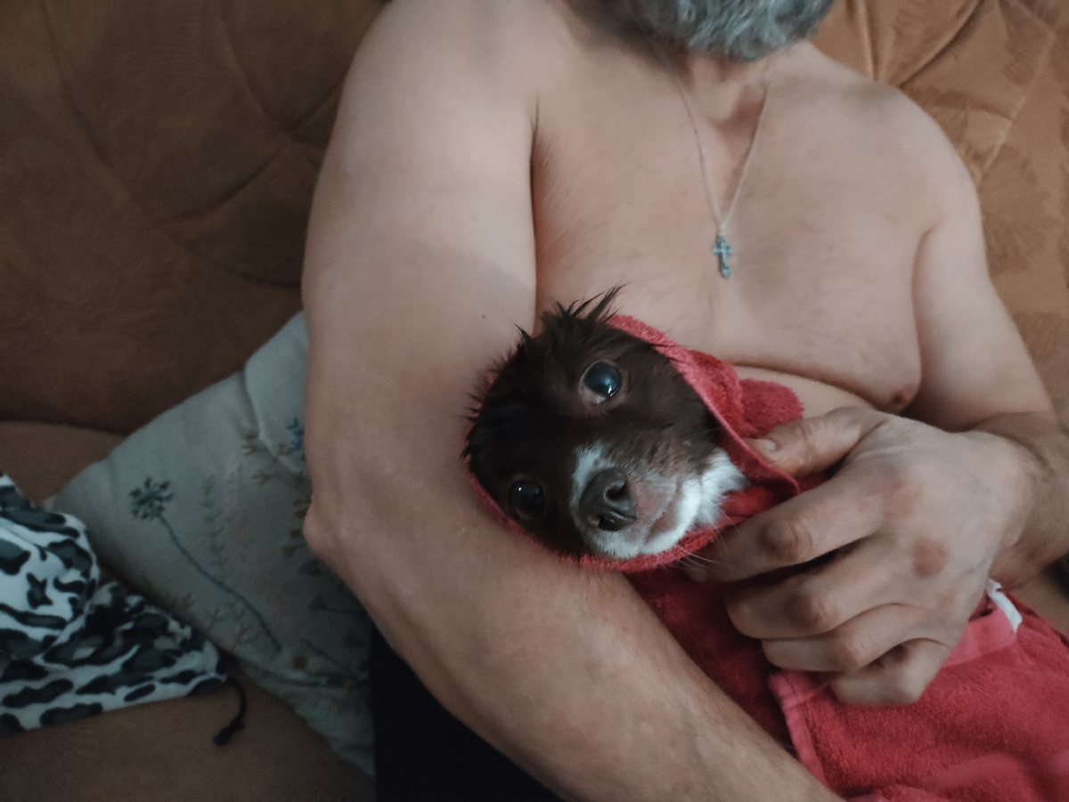 Бедное, несчастное животное )))