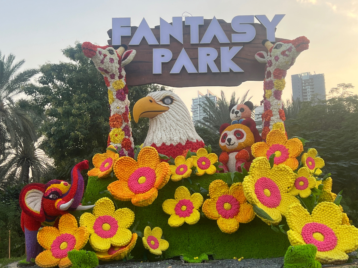 Все фото авторские. Декабрь 2025 года. 