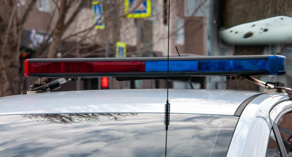    Svetlana Vozmilova/Global Look Press / www.globallookpress.com