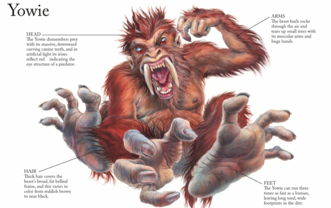 Рост — от 1,5 до 2,5 метра. 
У существа большой красный рот и когти. 
Отличительная черта — два крупных клыка. 
Обычно существо покрыто бурой или рыжеватой шерстью. 
Описания поведения различаются: в некоторых рассказах йови изображаются робкими и замкнутыми, в других — жестокими или агрессивными