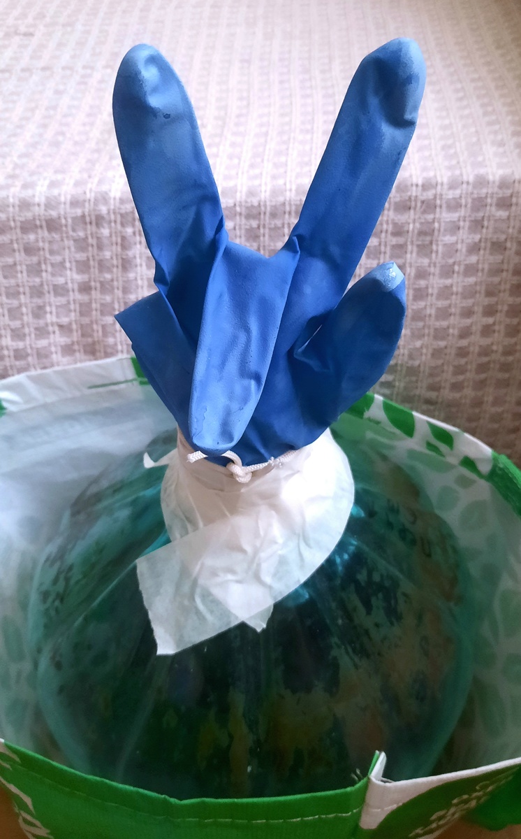 Фото автора.