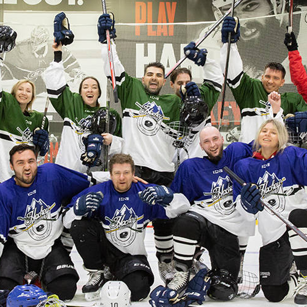 Игра в хоккей для компании