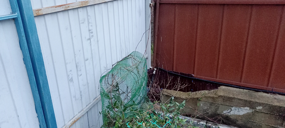 Сетка и каприфоль валяются