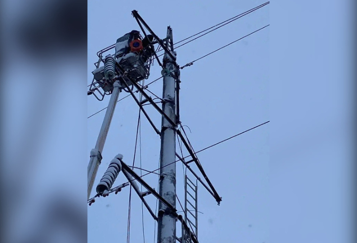 фото: администрация Ленинградской области