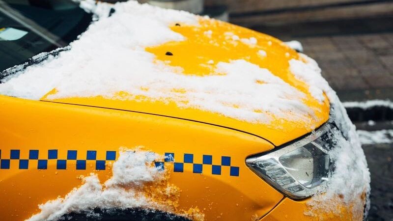    Фото: Olenaduygu/Shutterstock/Fotodom