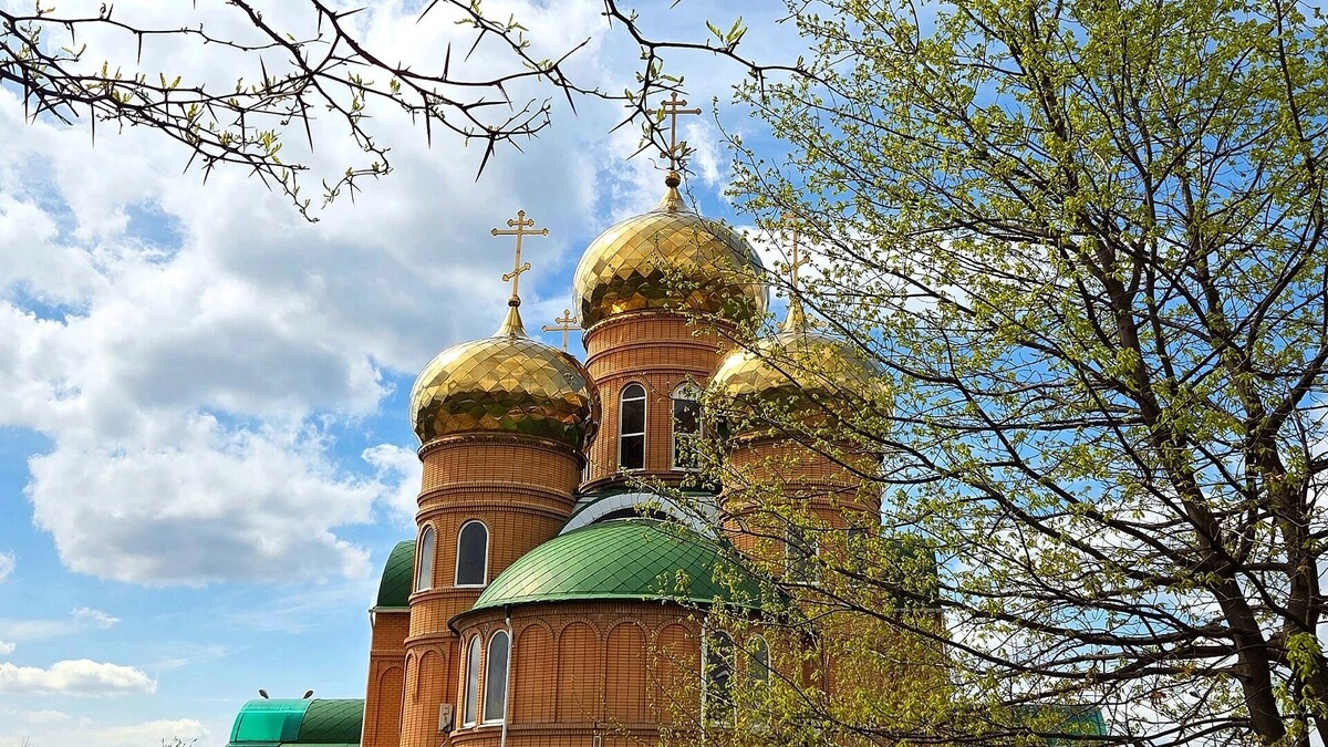    Какая будет погода в Краснодаре на Рождество — весеннее тепло   kubanpress.ru