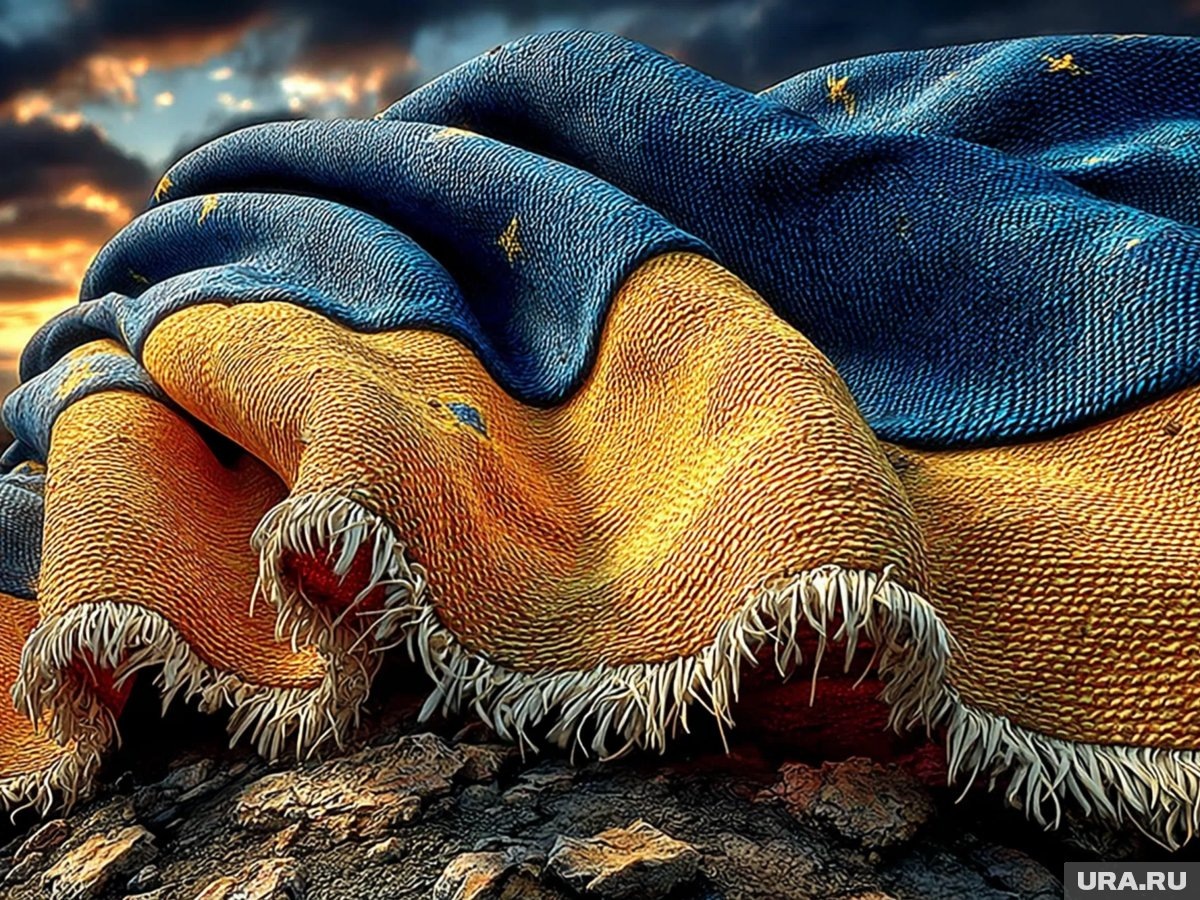     Политика Киева будет меняться в сторону усиления терроризма