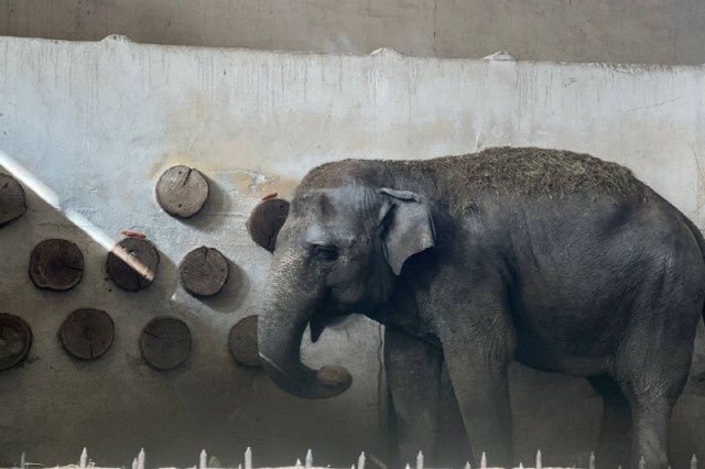   Фото из архива Калининград.Ru