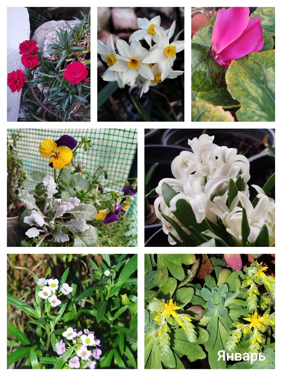 Фото автора.