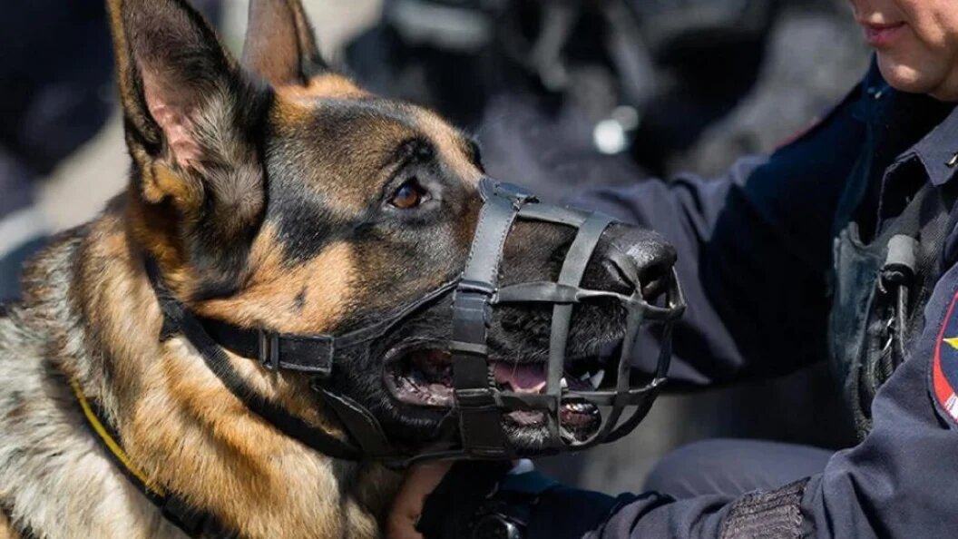    Фото: сгенерировано нейросетью/запрос "Царьграда"