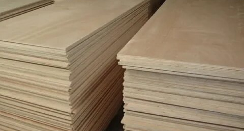    Фото правительства Кировской области