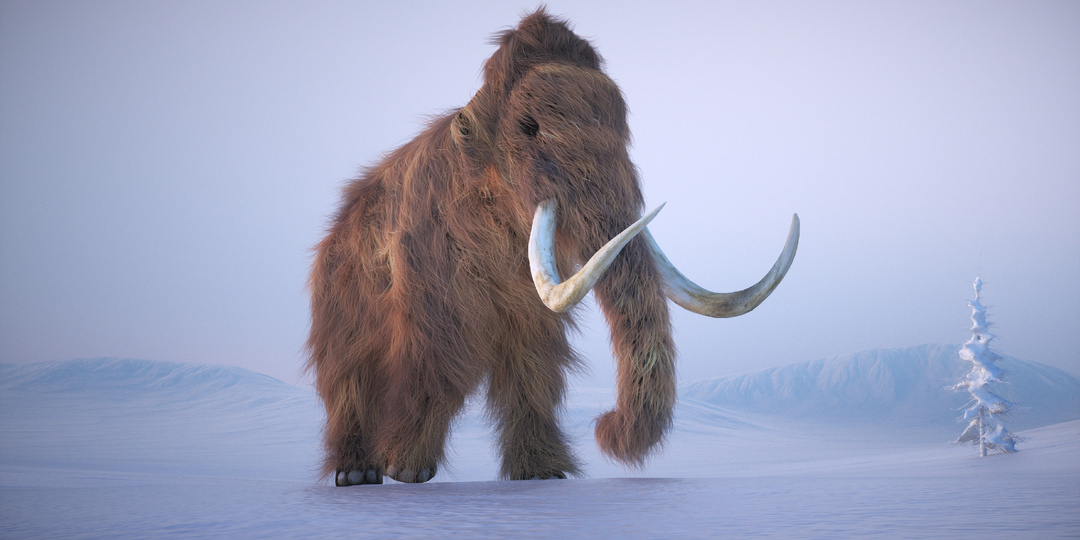 Выяснили, где в России увидеть мамонтов
