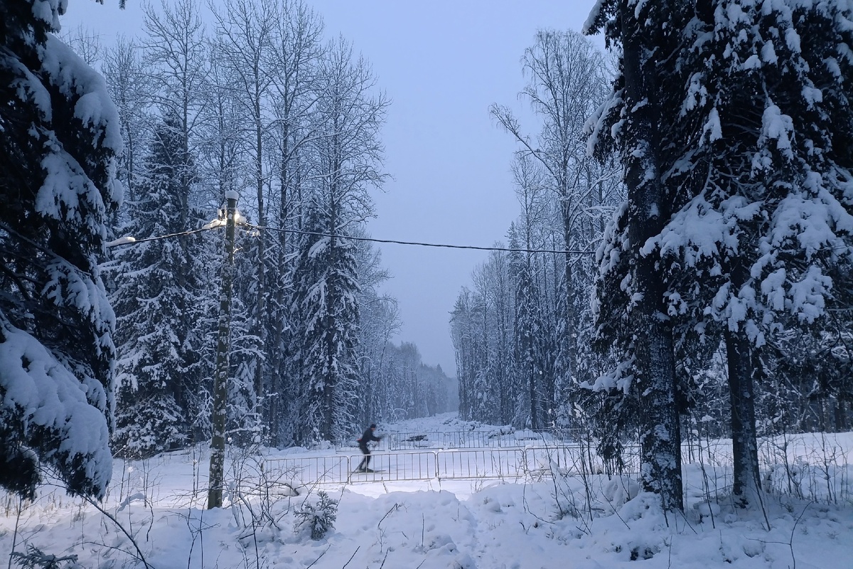    фото: © Столица на Онего