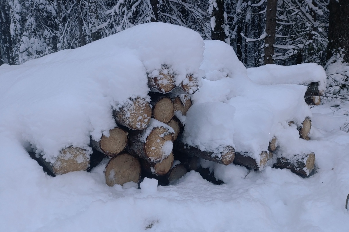    Газопровод на Кукковку будут тянуть через трассу «Фонтаны»© Столица на Онего