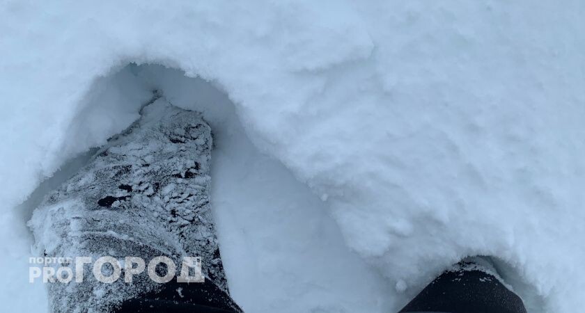    Фото редакции