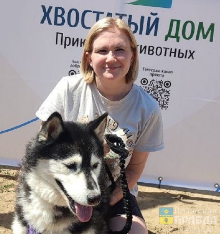 Хозяйка приюта "Хвостатый дом" Яна Водолажская📷    На цепи с граблями в пасти: в Волгоградской области пьяный изувер убивал свою собаку
