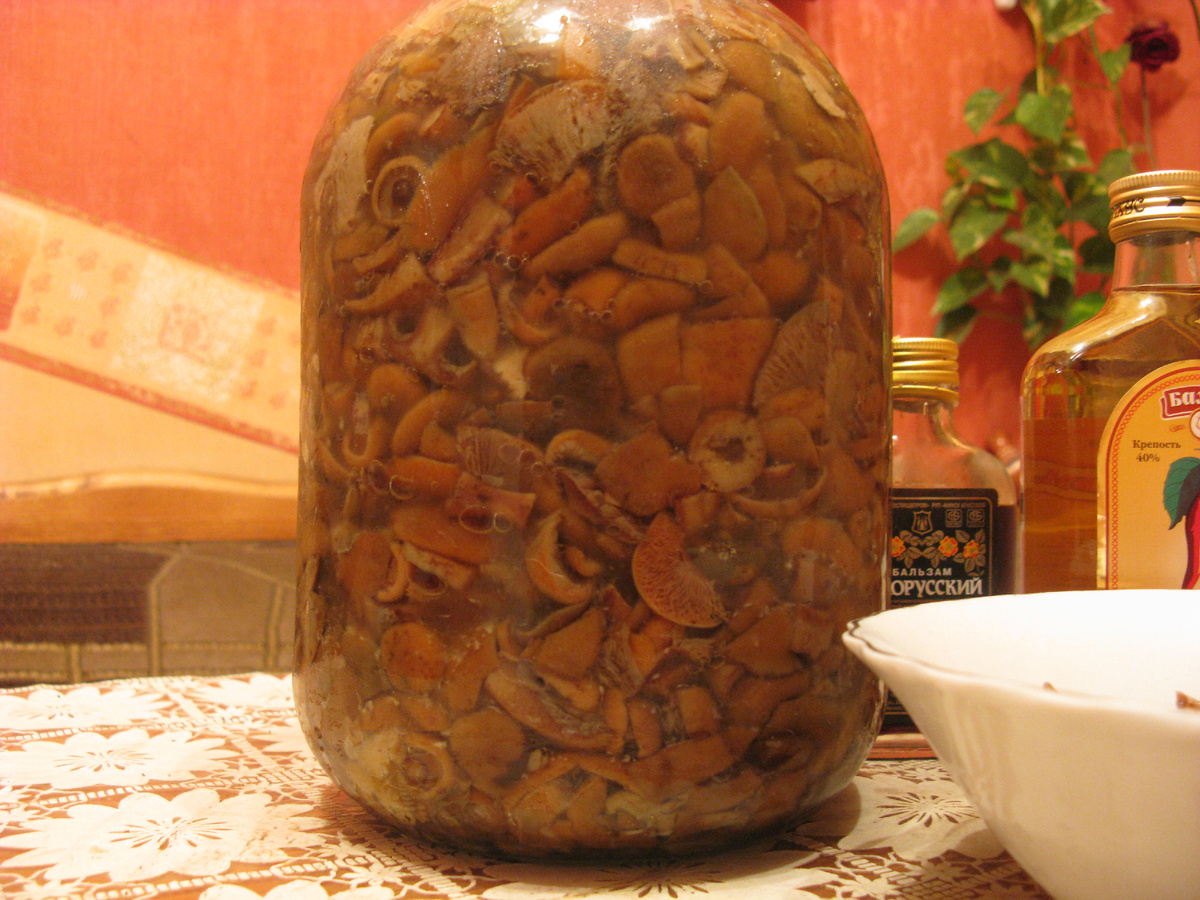 Рыжики еловые квашеные