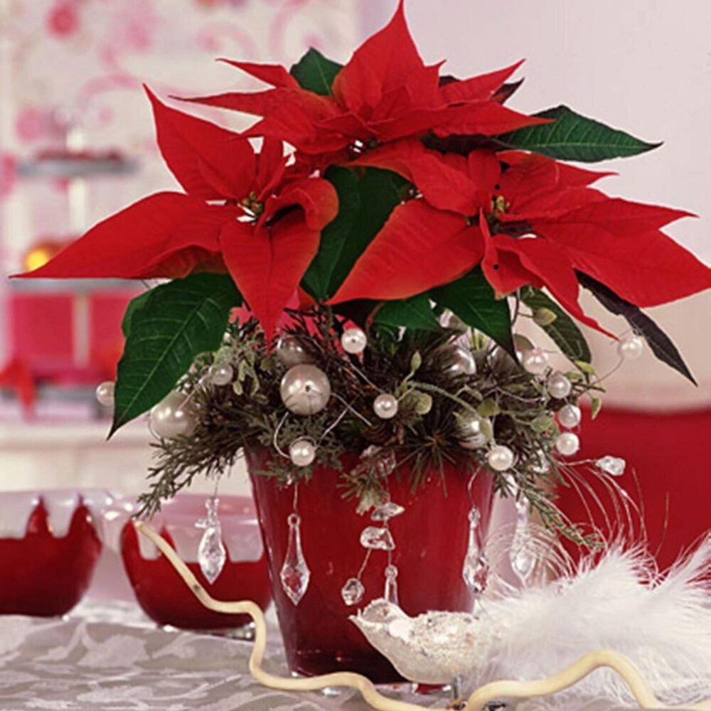    источник: сайт www.cvet-kom.ru Веселовские вести