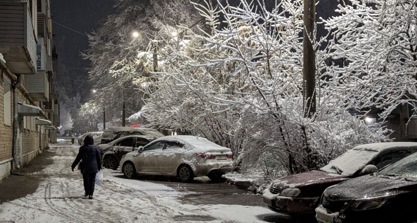    Фото: progorod43.ru