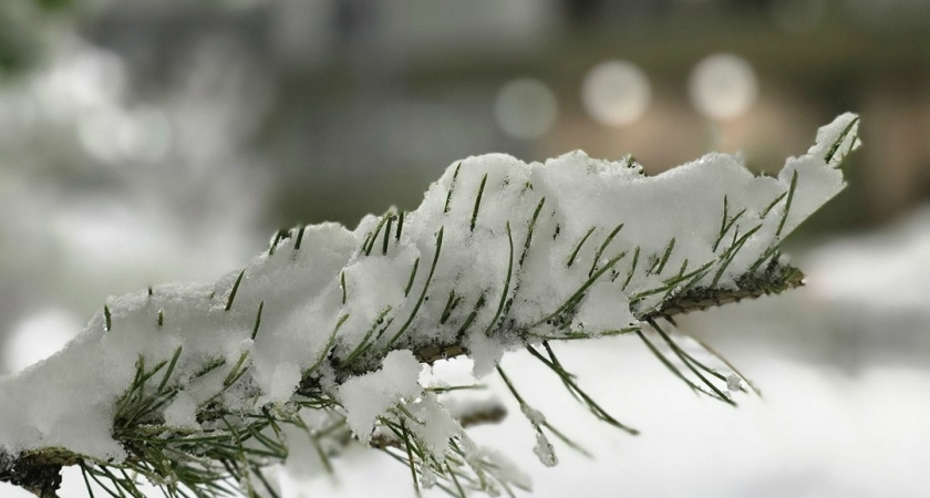    Фото prochepetsk.ru