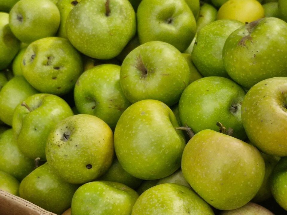    Фото: REGIONS/Наталия Надточая