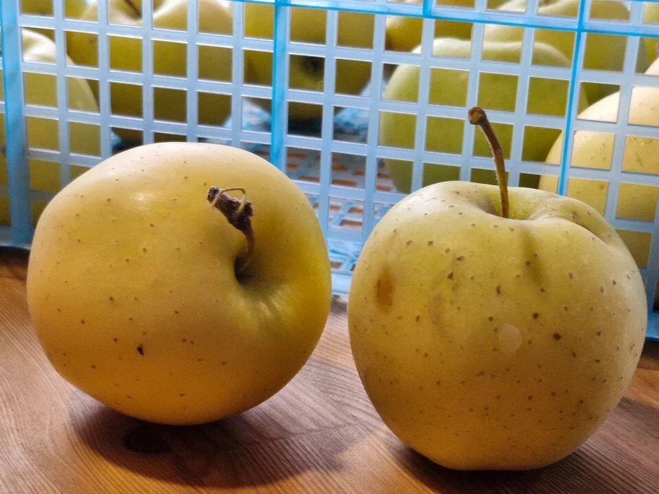     Фото: REGIONS/Наталия Надточая