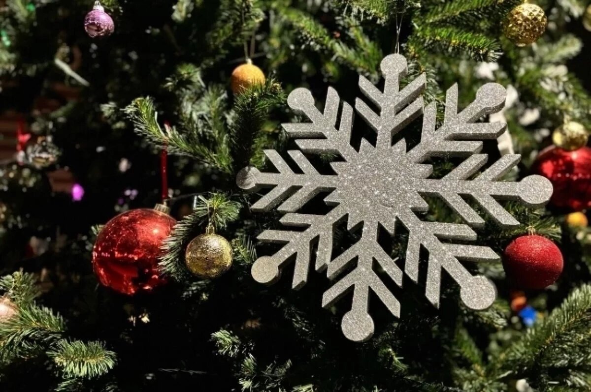    Тулякам напомнили, какие мероприятия они могут посетить на праздниках