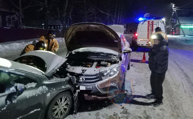    © Аварийно-спасательная служба Ленинградской области