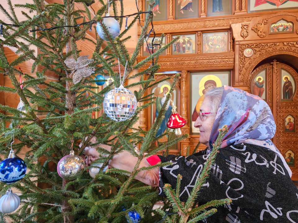     Фото: МедиаБанк Подмосковья/Мария Андрюхина