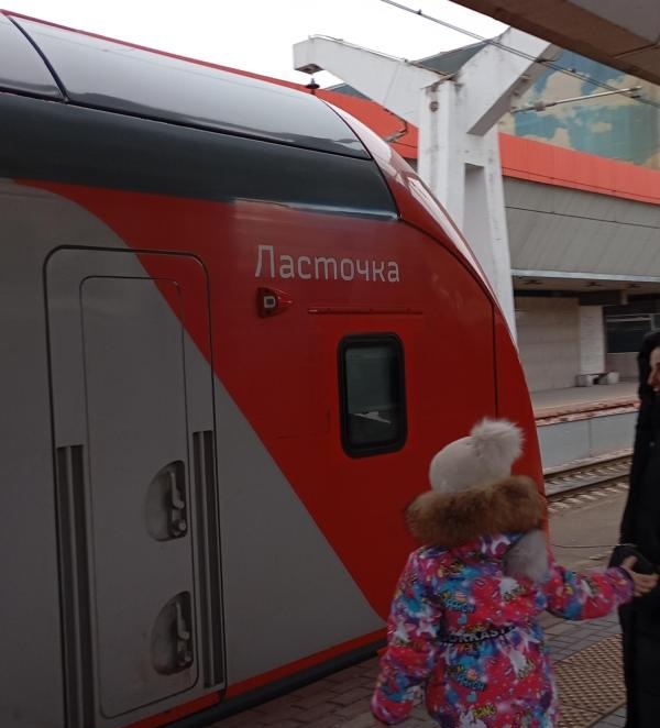 Ласточка Москва - Санкт Петербург.