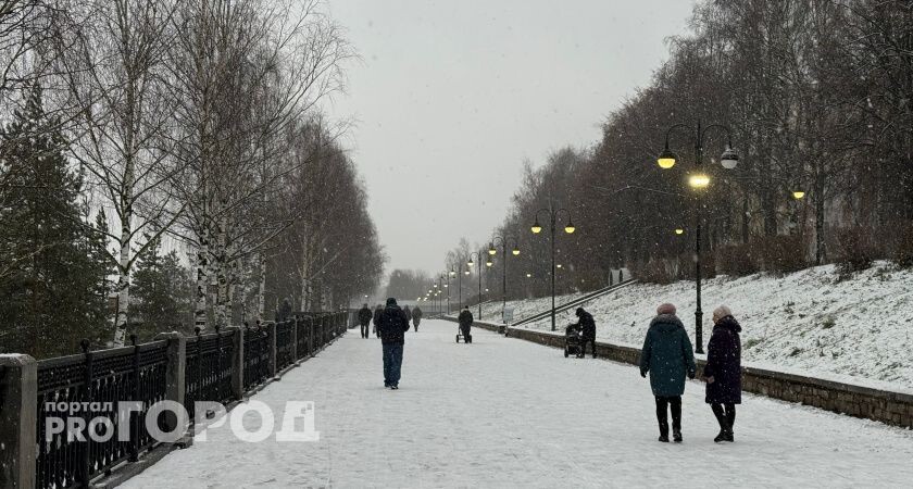    Фото: volgogradru.com