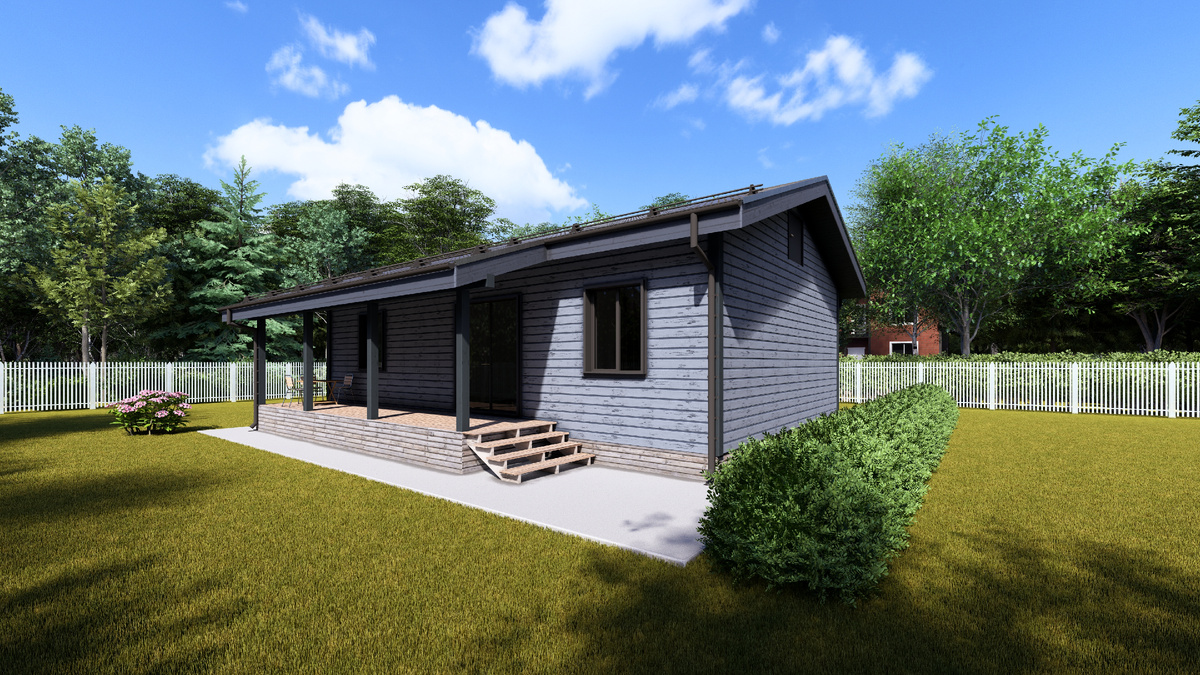 Визуализация дома 1