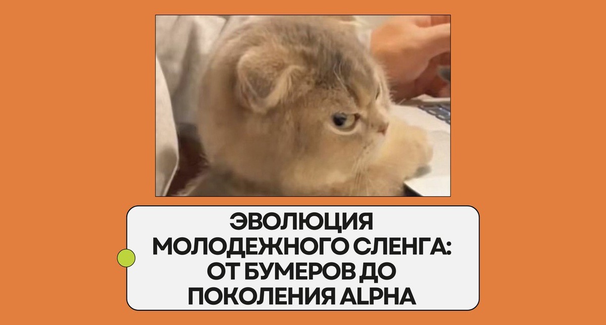 Изображение: Family English