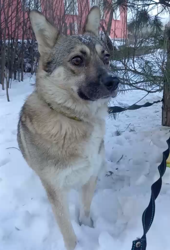 "Глаза по 6 рублей" - вот так это и выглядит