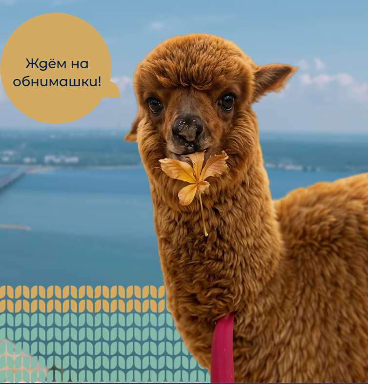 Центральное фото на сайте))