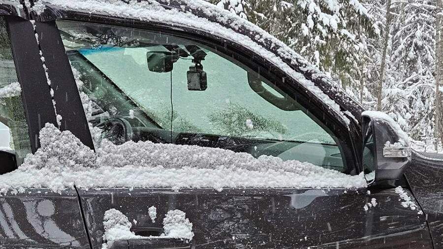    Фото: t.me/sledcom47