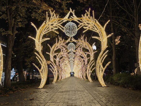    Фото: Элина Болдырева