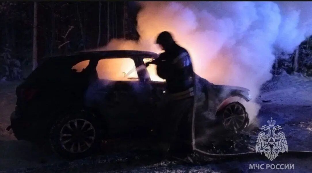    Фото: пресс-служба ГУ МЧС России по Ленобласти.