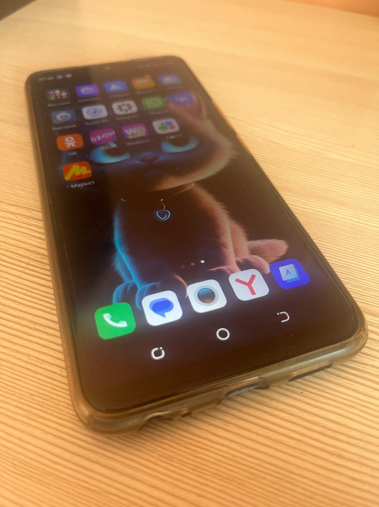     Фото: Марианна Альянова / «МК в Орле»