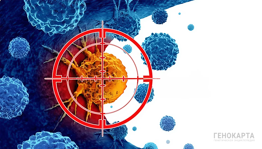 Lightspring // shutterstock.com