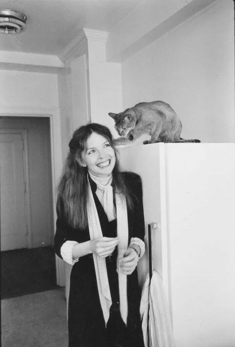 Фото из сети.