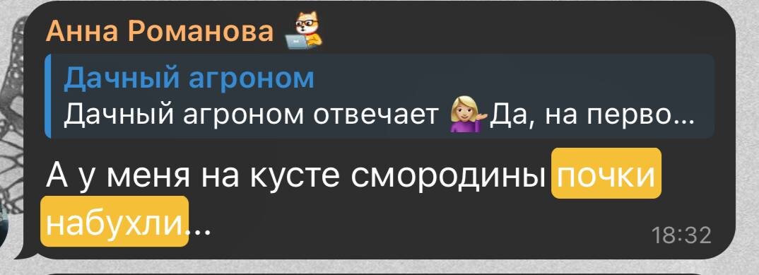 Еще больше обсуждений в нашем Telegram