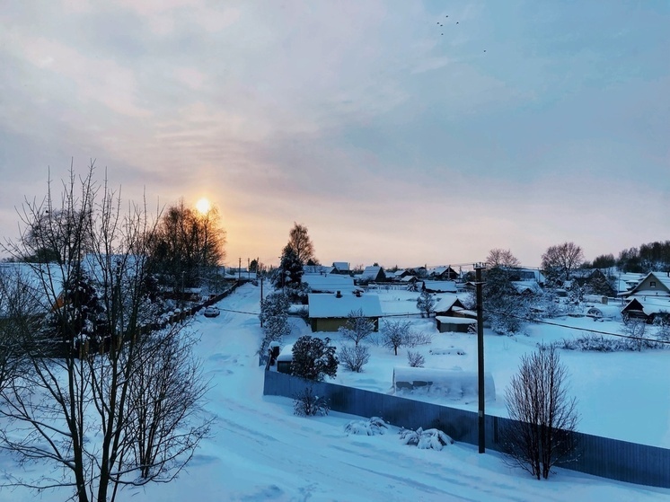     Фото: МК в Вологде.