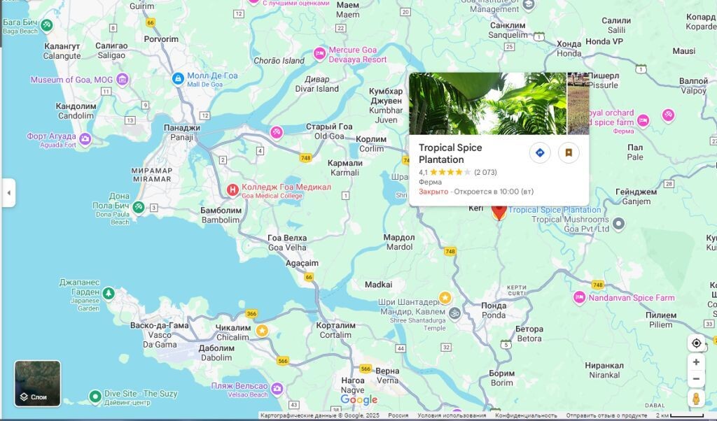 Плантация тропических специй на карте