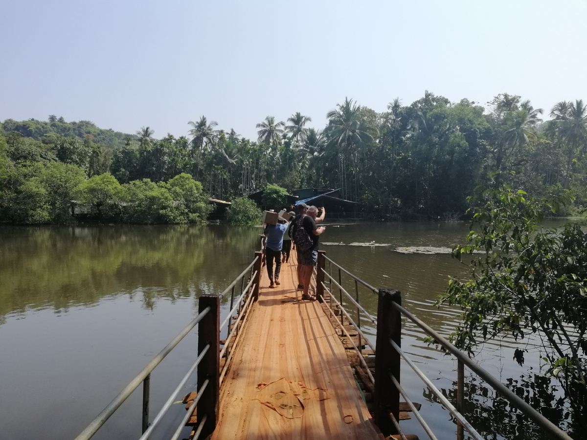 Плантация тропических специй: вход по мостику