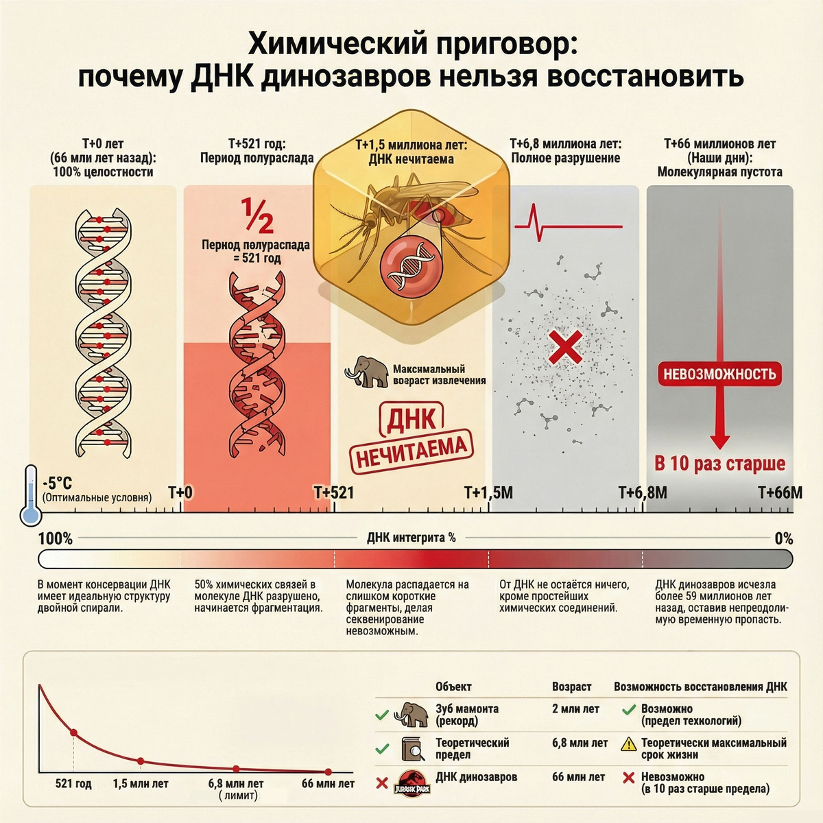 Химический приговор: почему ДНК динозавров нельзя восстановить